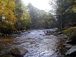 Image result for The Cairngorm Club