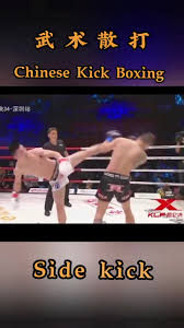 Image result for Chinese Kick Boxing Club
