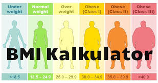 Bildresultat för bmi-tabell