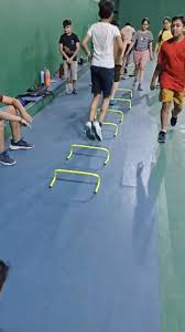 Image result for Falcon Badminton Club