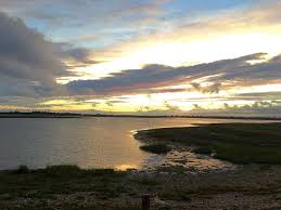 Image result for Pagham Cricket Club