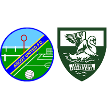 Image result for Leatherhead Football Club