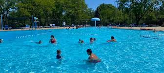 Image result for Downham & District Swimming Club