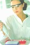 Delphitest paternity test genetic analysis DNA laboratory