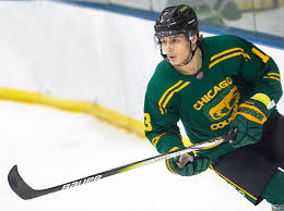 Image result for Norton Cyclones Skater Hockey Club