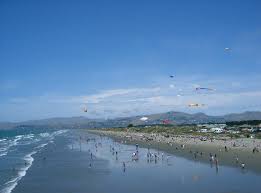 Image result for Brighton Kite Fliers