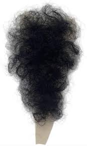 Image result for schamhaar