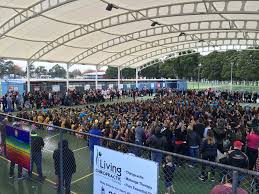 Image result for Foxes Netball Club