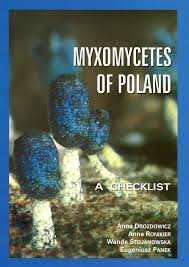 Attēlu rezultāti vaicājumam “Physarum alexandrowiczii”