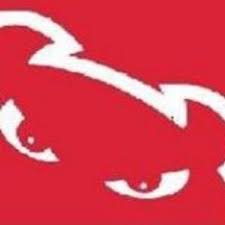 Image result for Lincoln Triathlon Club