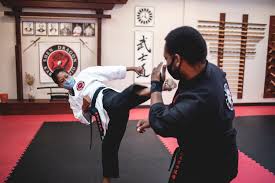 Image result for Hidden Dragon Karate-Do