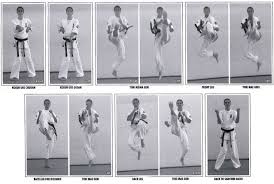 Image result for Kyokushin Karate