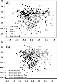 Attēlu rezultāti vaicājumam “Platydictya jungermannioides macro”