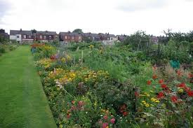 Image result for Urmston Cc