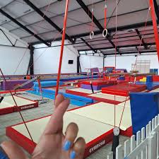 Image result for Allstarz Gymnastics Club