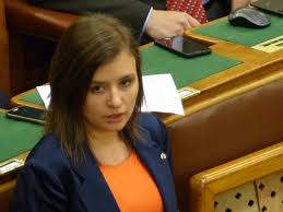 Image result for dúró dóra