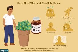 Attēlu rezultāti vaicājumam “Rhodiola rosea”