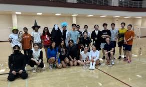 Image result for St Ursulas Badminton Club