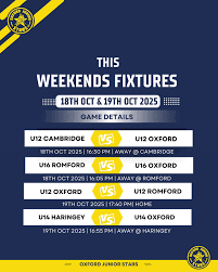 Image result for Romford Junior Ice Hockey Club