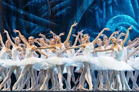 Attēlu rezultāti vaicājumam “Lycogala asperum young”