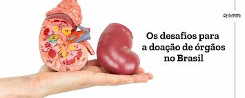 Image result for doação de órgãos