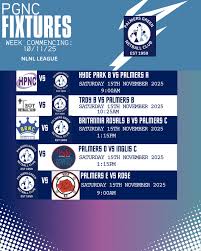 Image result for Palmers Green Netball Club