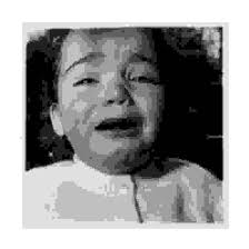 Attēlu rezultāti vaicājumam “Dianema depressum young”