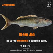 Image result for Aprion virescens