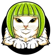 Image result for limecat
