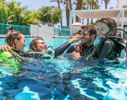 Image result for Manta Divers Sub-Aqua Club