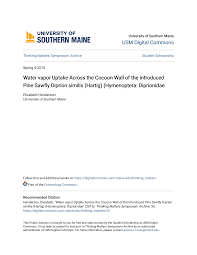 Attēlu rezultāti vaicājumam “Diprionidae cocoon”