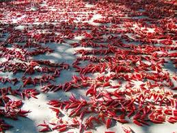 Afbeeldingsresultaat voor Szegedi 80 hot pepper