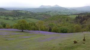 Image result for Welshpool Golf Club