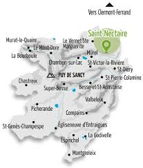 Image result for saint nectaire