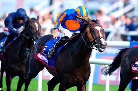 Image result for Doncaster Schools` Rowing