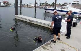 Image result for Duchy Divers
