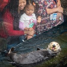 Image result for Otters Old Time Dance Club