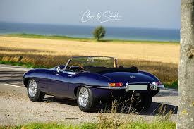 Image result for Ascot Fawn 1968 Jaguar