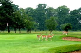 Image result for Belton Park Golf Club