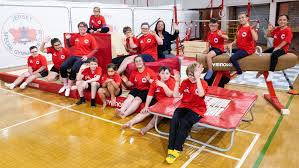 Image result for St Helens Centre For Gymnastics Club