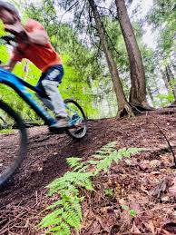 Image result for Uwe Mountain Biking Club