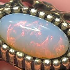 Image result for Coventry Dragons