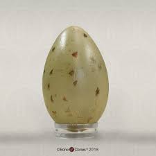 Attēlu rezultāti vaicājumam “Grus grus eggs”