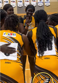 Image result for Eagles Netball Club
