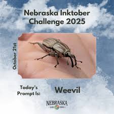 Image result for Cycleptus elongatus