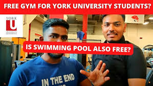 Image result for York University Pool Club
