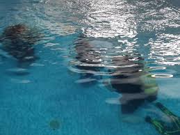 Image result for Diveline