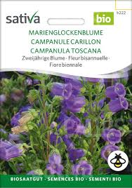 Image result for Marienglockenblumen