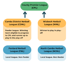 Image result for Netherhall Netball Club