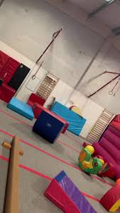 Image result for Focus Institute of Gymnastics
